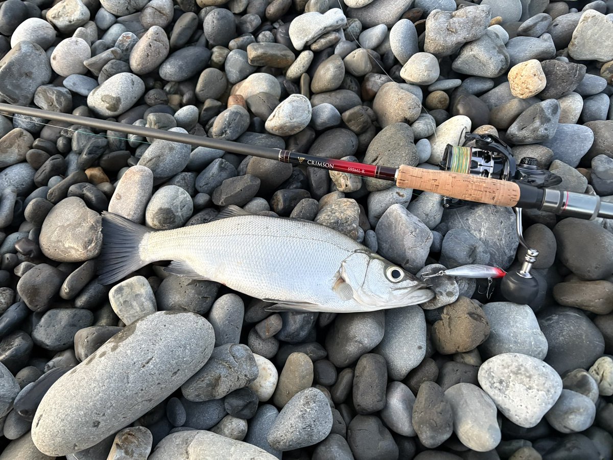 つっちゃん tweet media