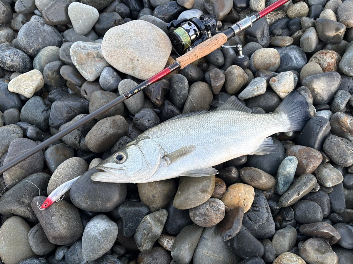 つっちゃん tweet media