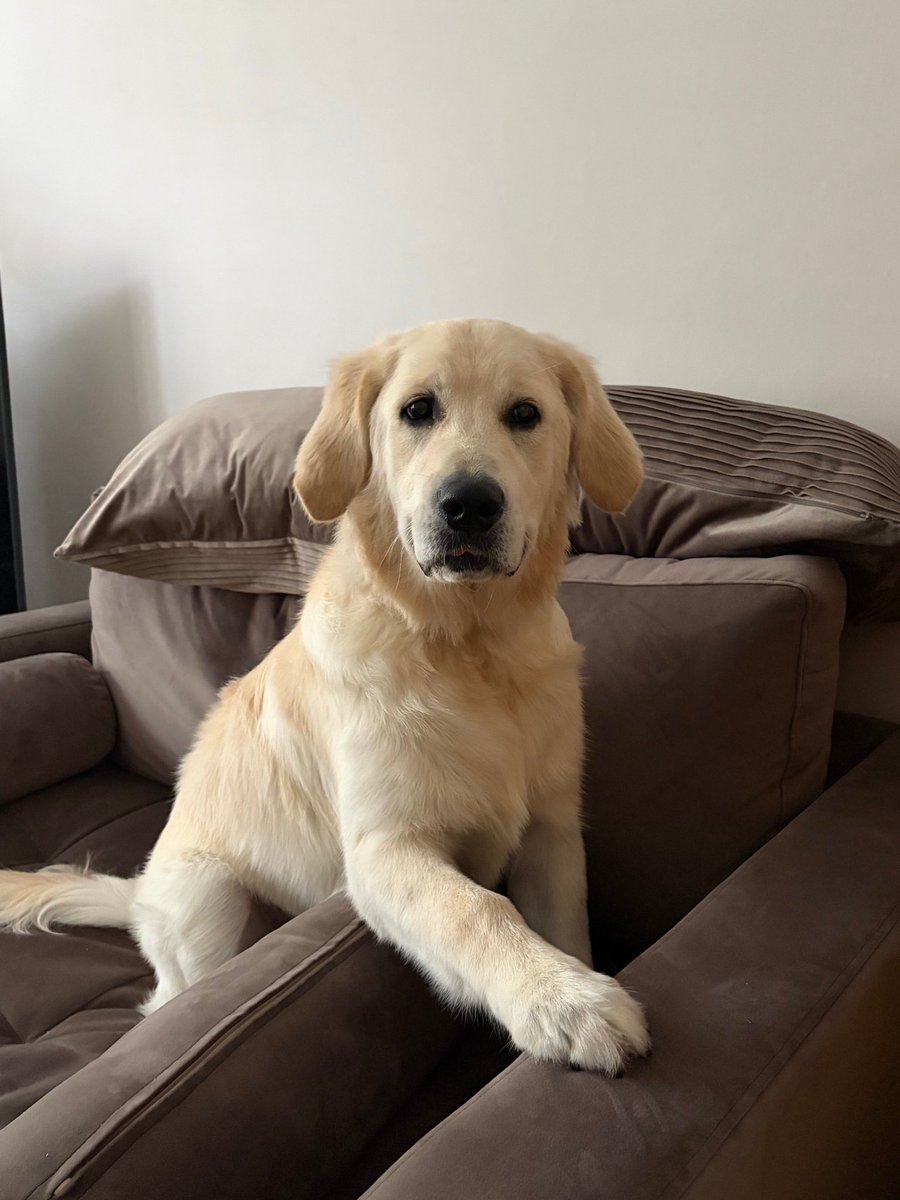 Quiet Storm tweet media