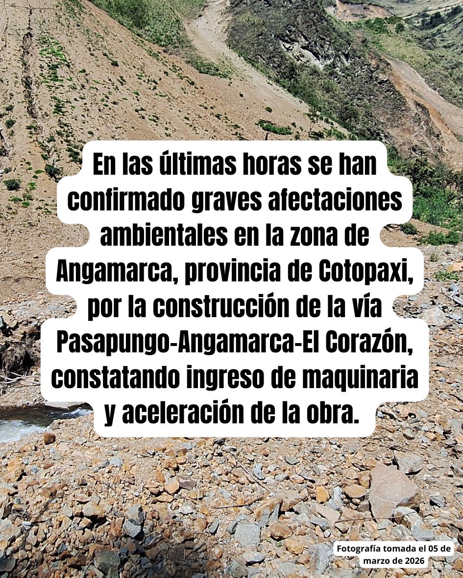 Alianza Jambato tweet media