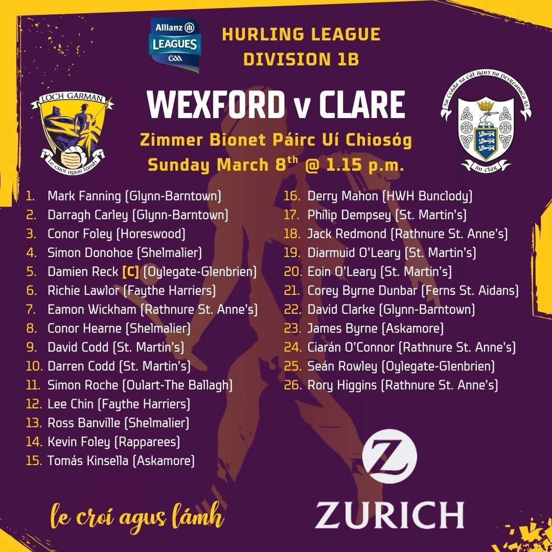 The Wexford Hurling Podcast tweet media