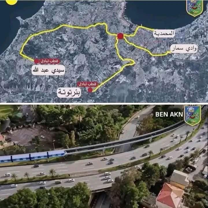 Algeria Project tweet media