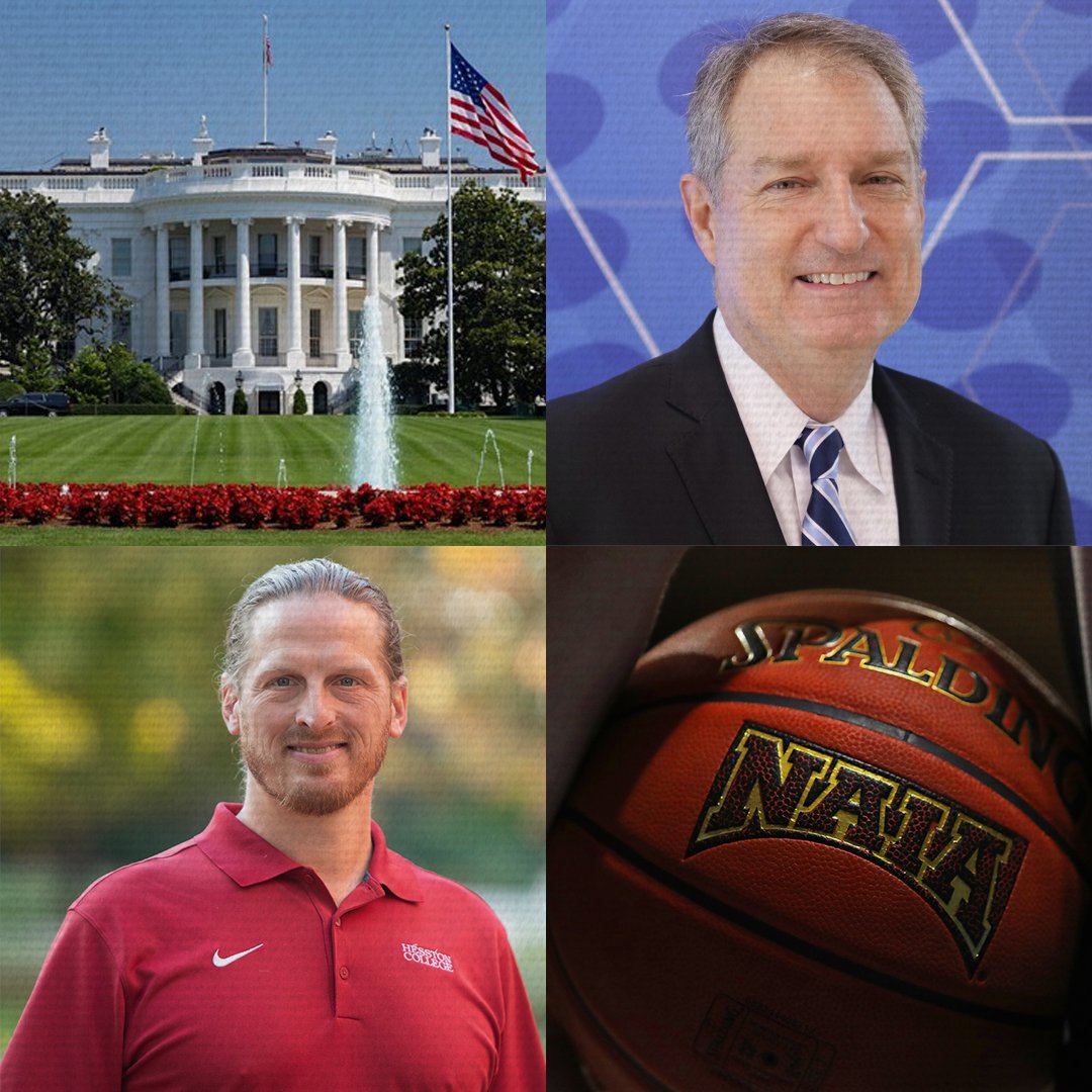 NAIA.ticker tweet media