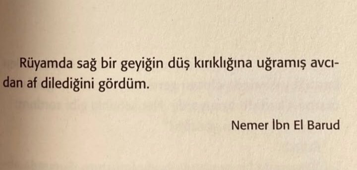 Nehir 🏴 🌲 tweet media