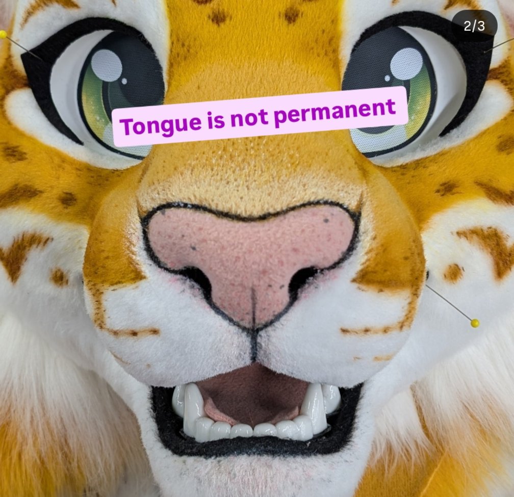 🐼 Stuffed Panda Studios 🐱 FWA Vendor! tweet media