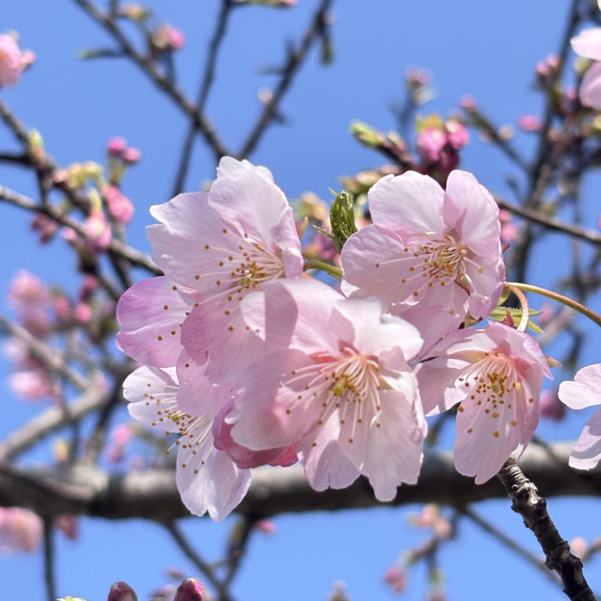 おはようございます