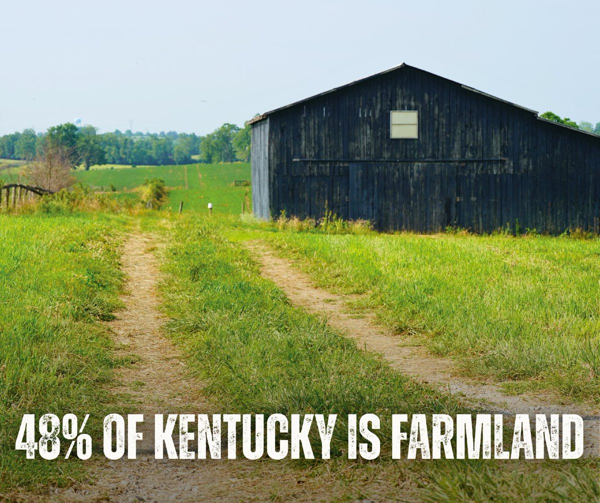 KY Dept of Ag tweet media