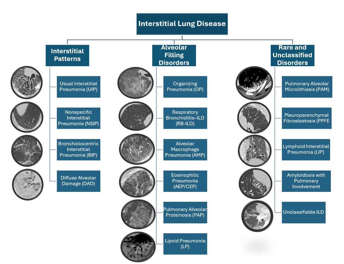 Furkan Ufuk tweet media