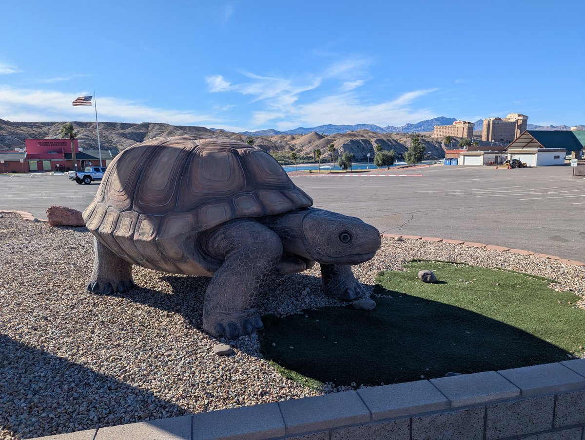 Dan Holiday tweet media