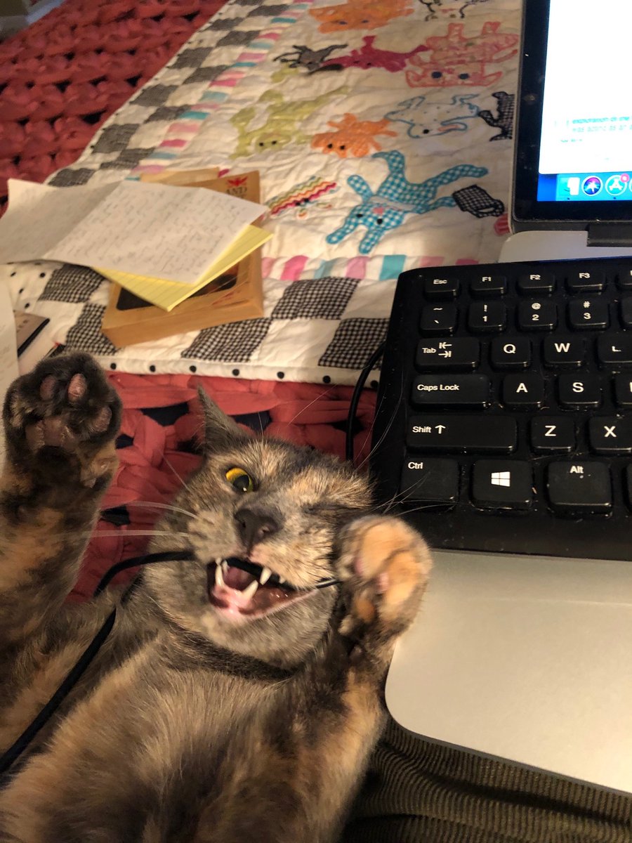 Joyce Carol Oates tweet media