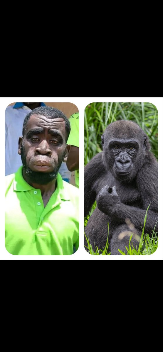 Marcus Booker tweet media