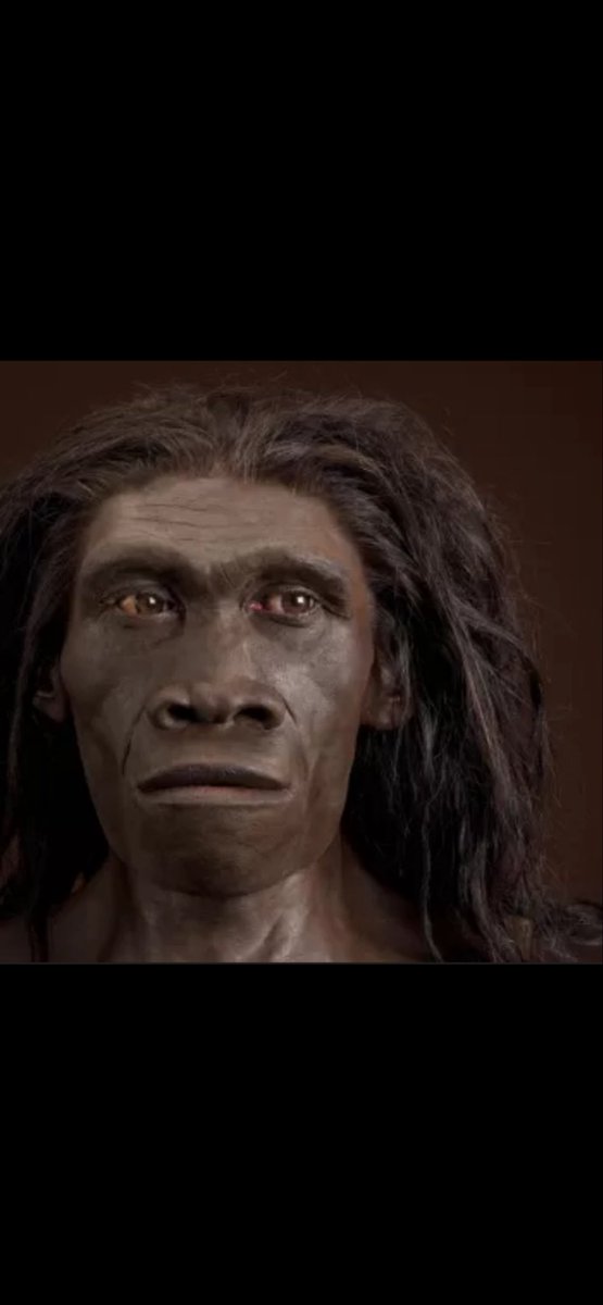 Marcus Booker tweet media