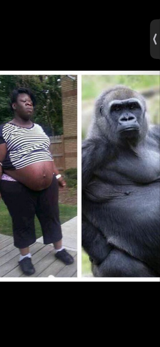 Marcus Booker tweet media