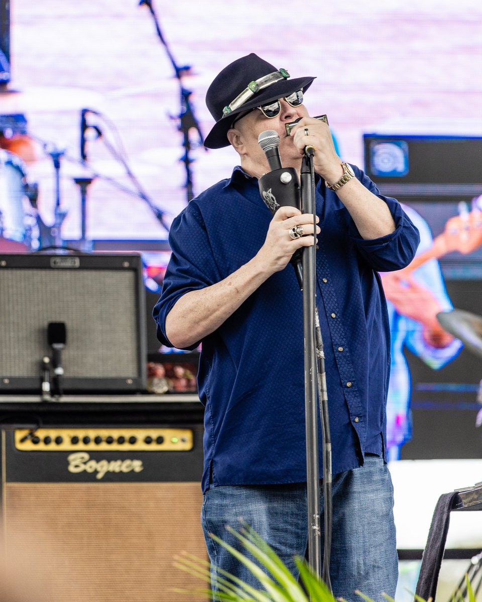 Dolphins Cancer Challenge tweet media