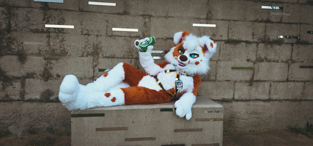 KodaCollie_'s tweet photo. Happy #FursuitFriday ! 
Have a beer 🍻 !

📸: @Gollie_wolf 

#furnavia #furnavia2025 #fnv #fnv2025 https://t.co/fJLeYukdFR