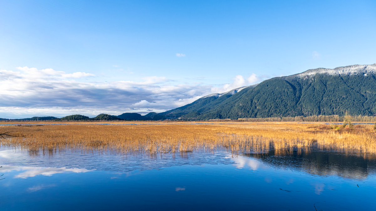 Water The Planet tweet media