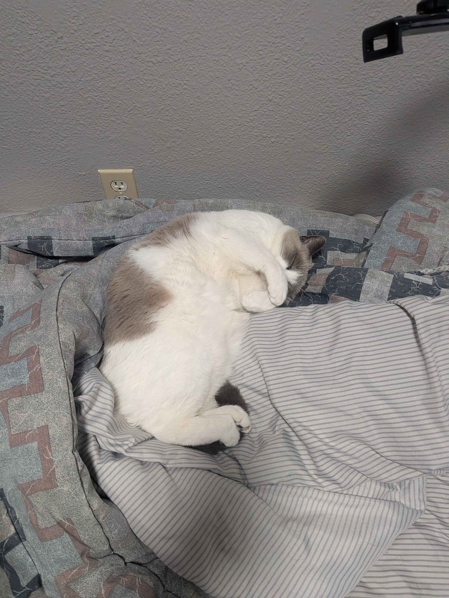 Invited™ Samifish tweet media