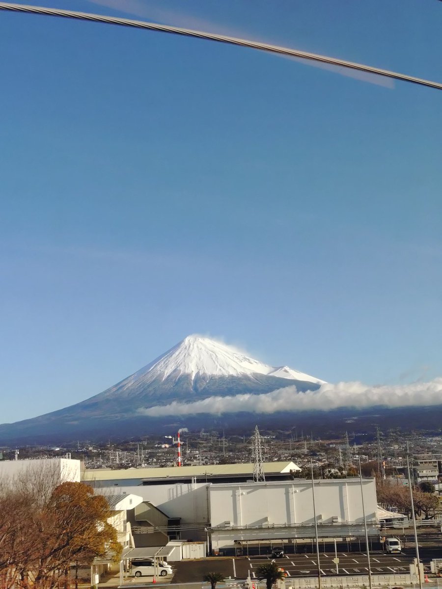 とらうち tweet media