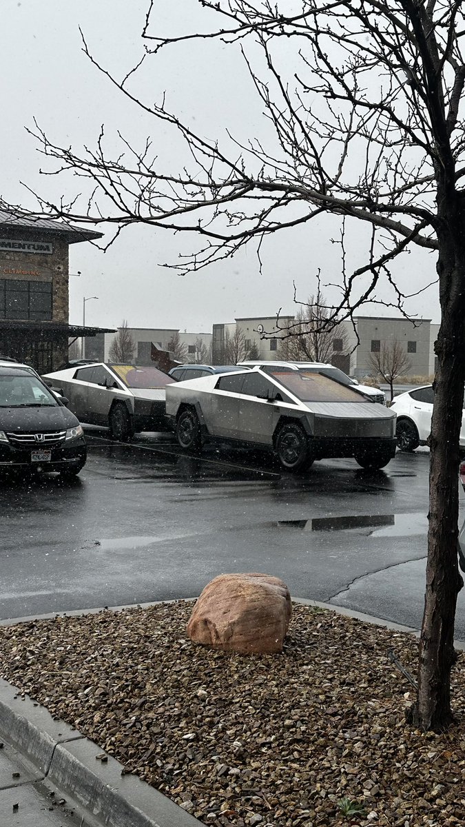 Spotted: His and Her Cybertrucks spooning in the wild.