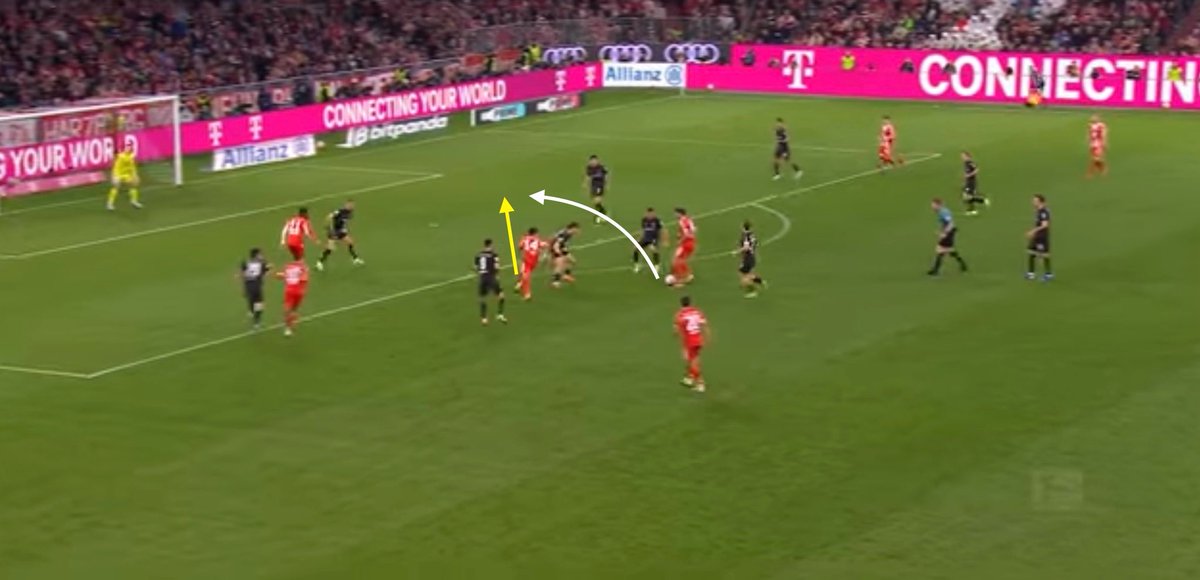 Connor Holden tweet media