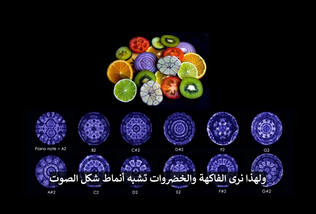 khebiza74's tweet photo. @rad133133 هناك علوم محرمة، ويقال ان معرفتها قد تغير مصير العالم. الاثير  سيد العلوم .. علم الأحياء الصحيحة والتطبيق٫ رياضيات الفورتكس ،الضوء الأسود، طاقة النقطة صفر، سيكولوجية الماء، الكهرباء المجانية، علم الأهرامات، التاريخ الصحيح والجغرافيا الصحيحين ... اذن فهناك من يبنى سلطته على جهلنا! https://t.co/4eNw8EMsIx