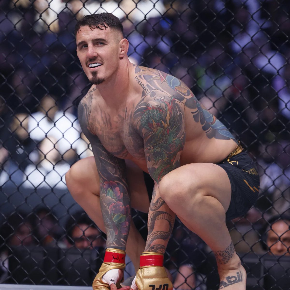 MMA Orbit tweet media