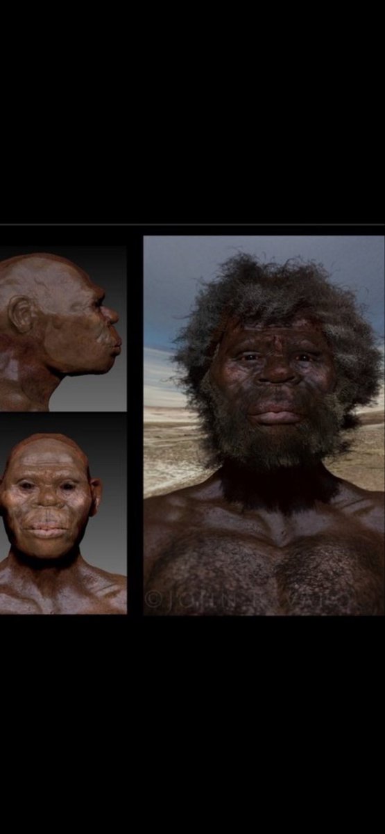 Marcus Booker tweet media