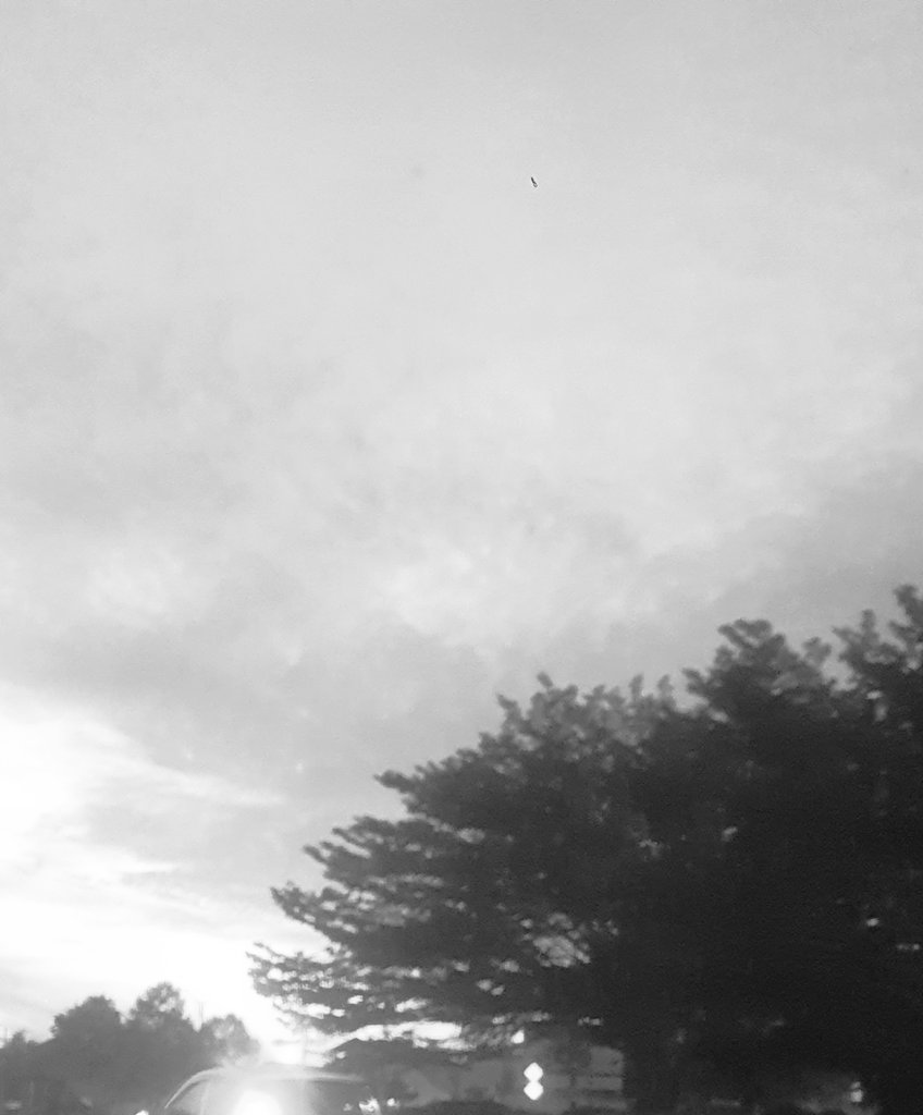 雨过见彩虹 tweet media