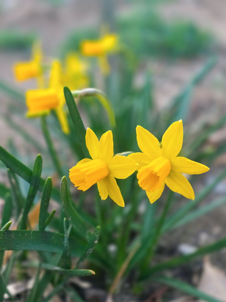 おっはよぅございます (⚘ᴗ͈ˬᴗ͈)).¸¸♬•*¨*•.♫♬*🎶 かわいらしい