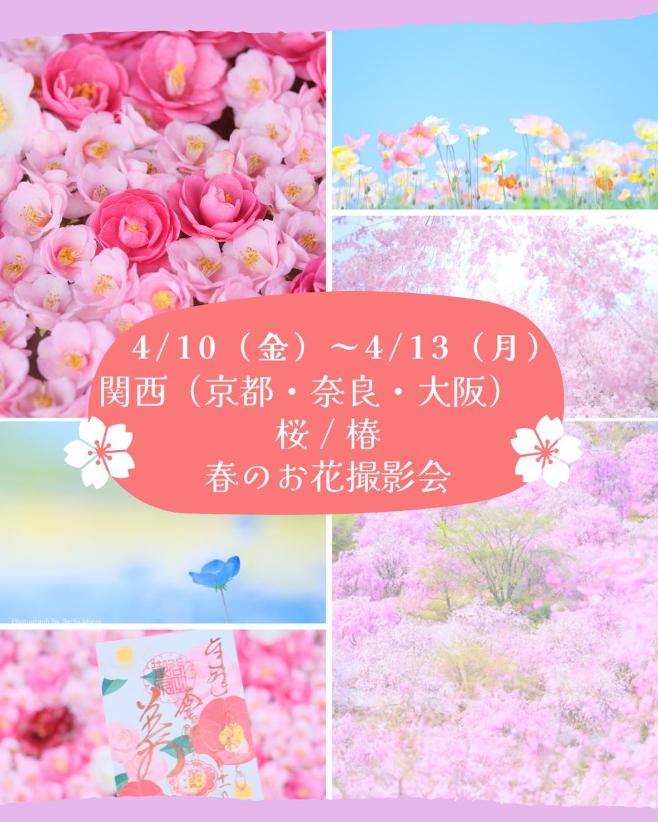 AlohaPhotoWorks's tweet photo. 4月は関西で、桜 / 椿 /春のお花の撮影会を開催します！
予約受付は3/7（土）21時からスタート。

https://t.co/3WomR03KKd

#フォト講座
#桜撮影会
#むらいさち https://t.co/DcnTm91TyG