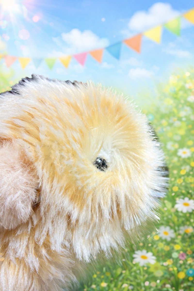 φ田π子＠ごな&えこ＆すぅぼ&ごかぁる主 tweet media