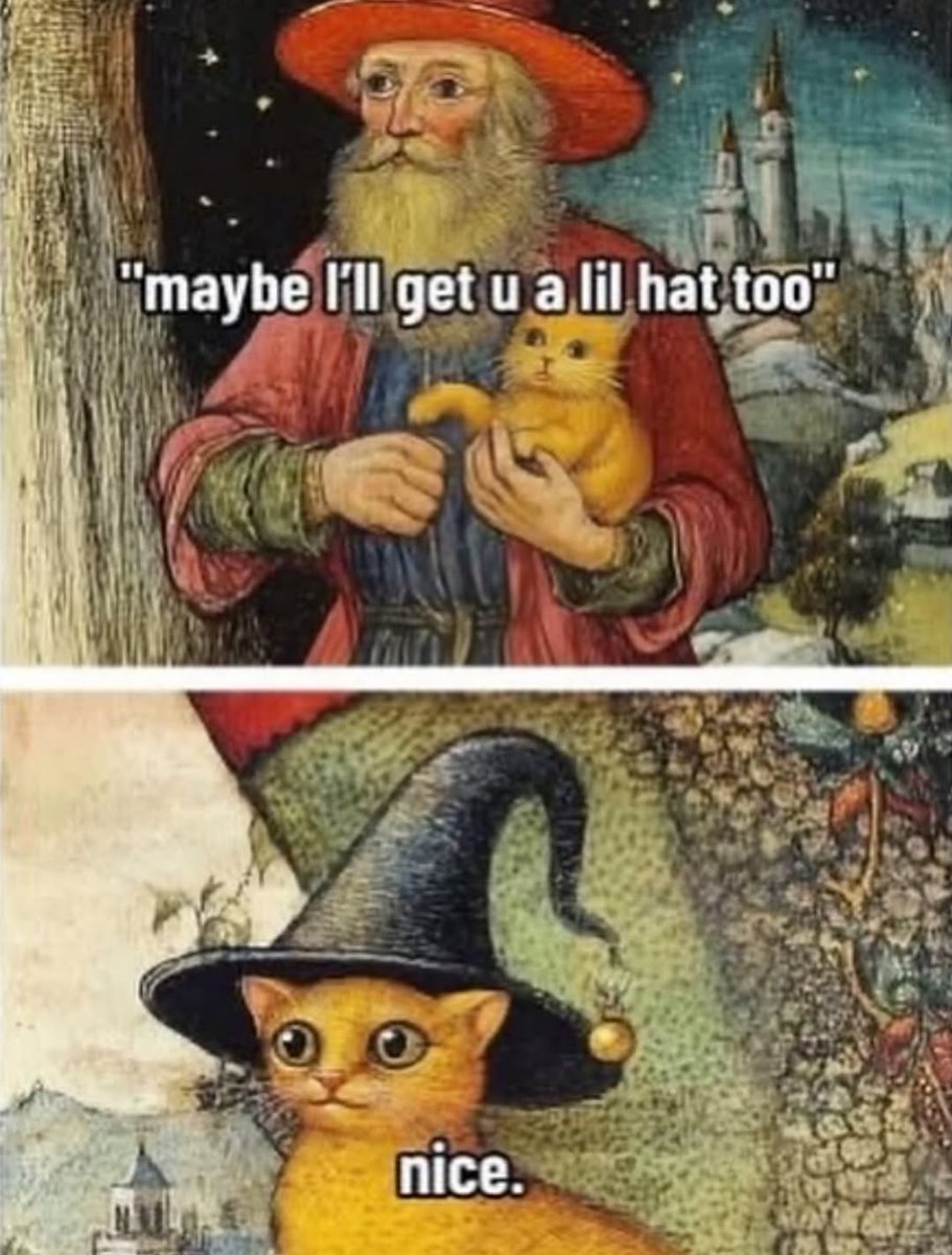 Catsillyness tweet picture