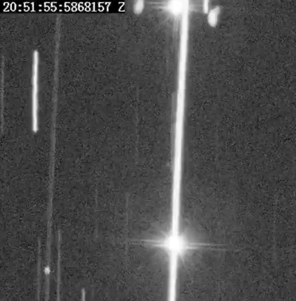 Doimo Manu tweet media