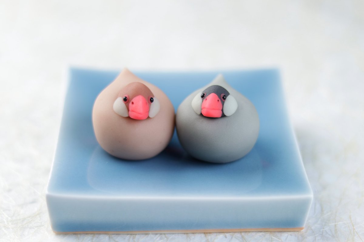 恒例の桜文鳥はじまりました🌸
シナモンと白文鳥は運が良ければ並んでいるかもしれません🐦