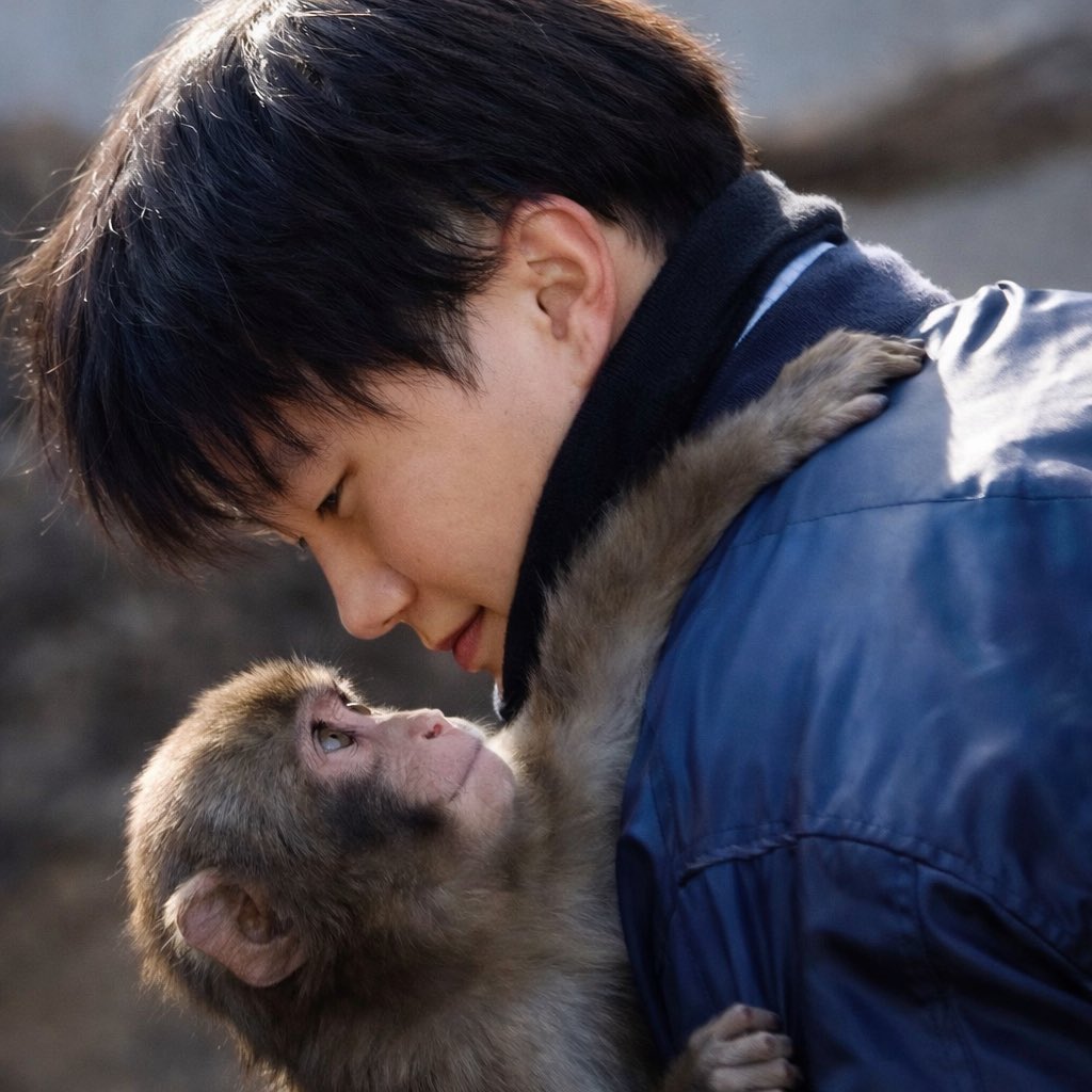 KitElliott's tweet image. Punch and his Caretaker 
2026
#PunchTheMonkey