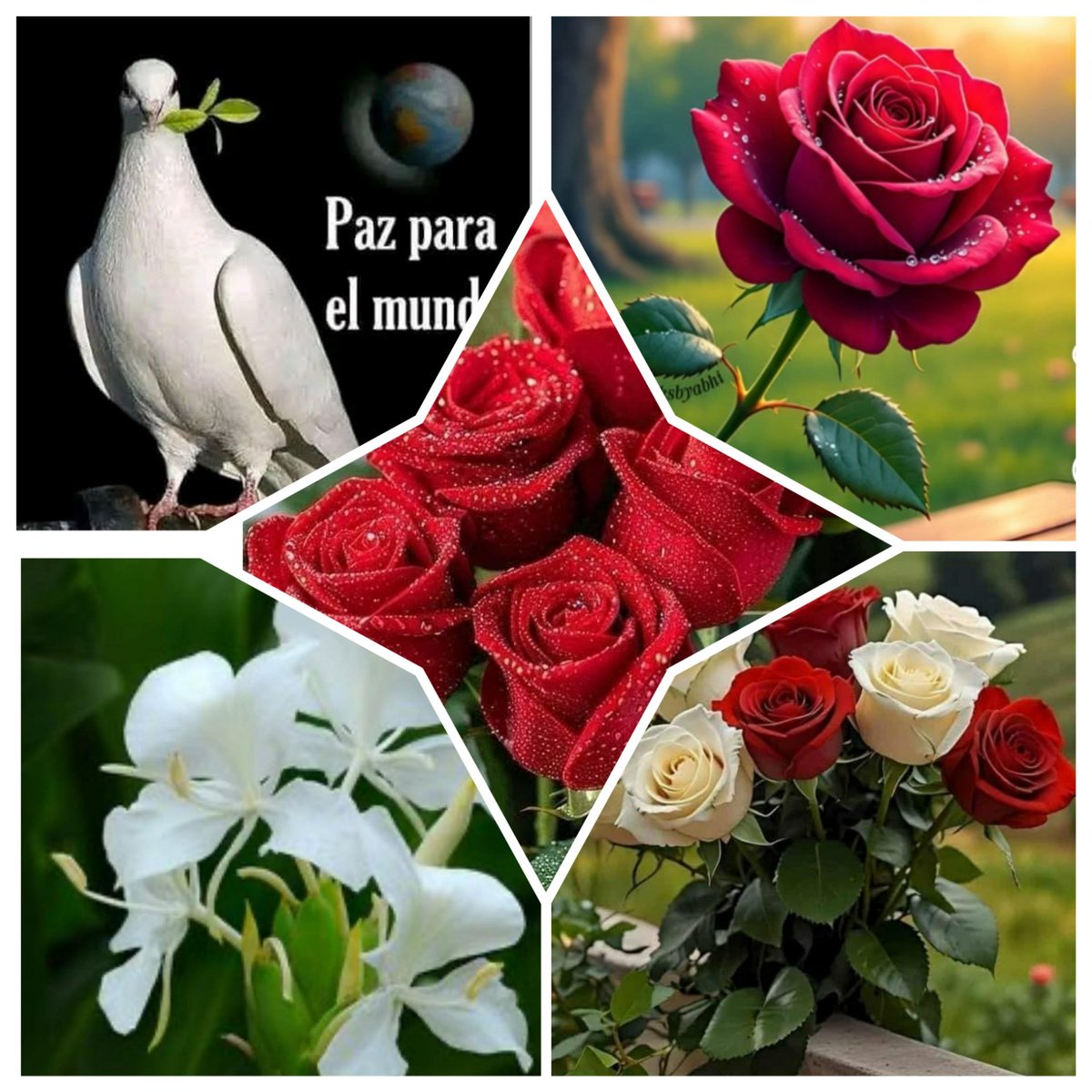 Inés María Chapman Waugh tweet media