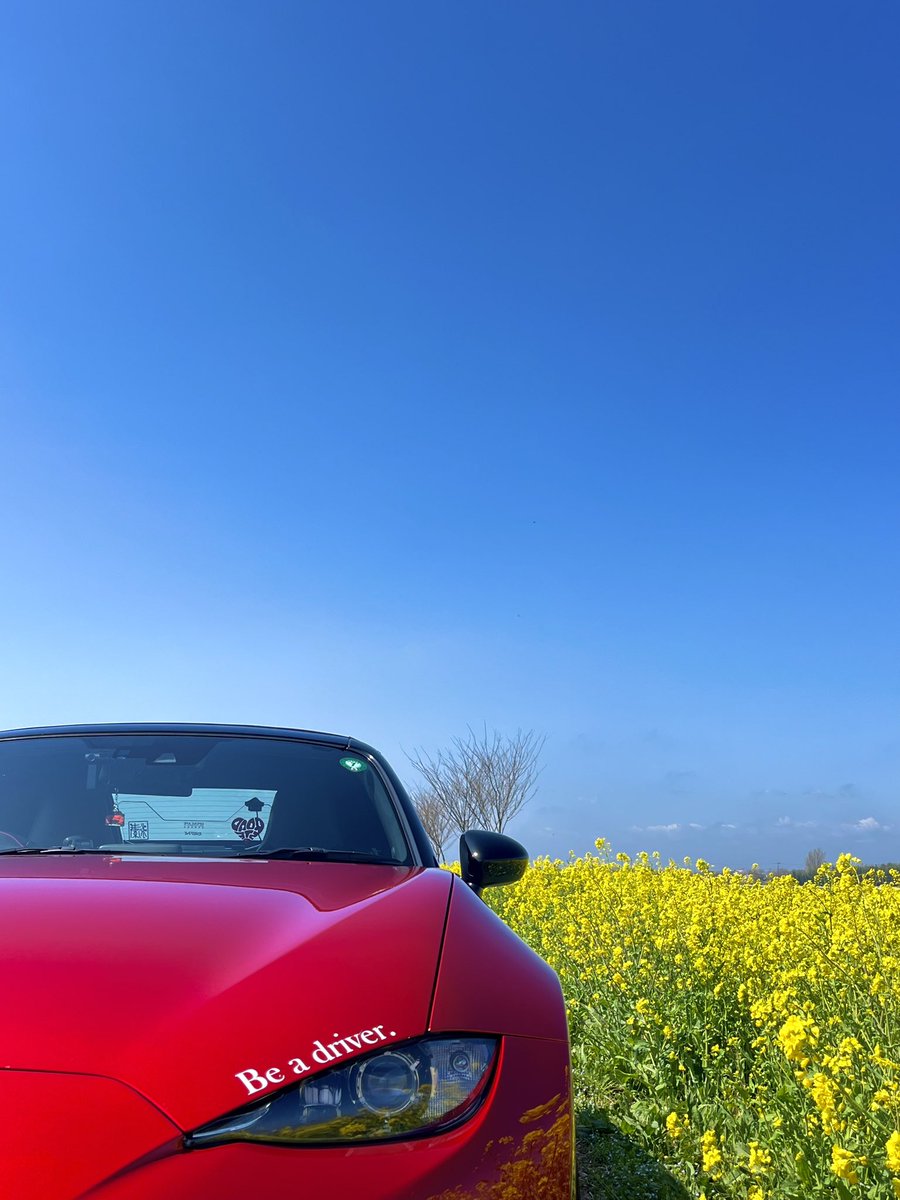 ND TakaTaka ニダボォォ tweet media