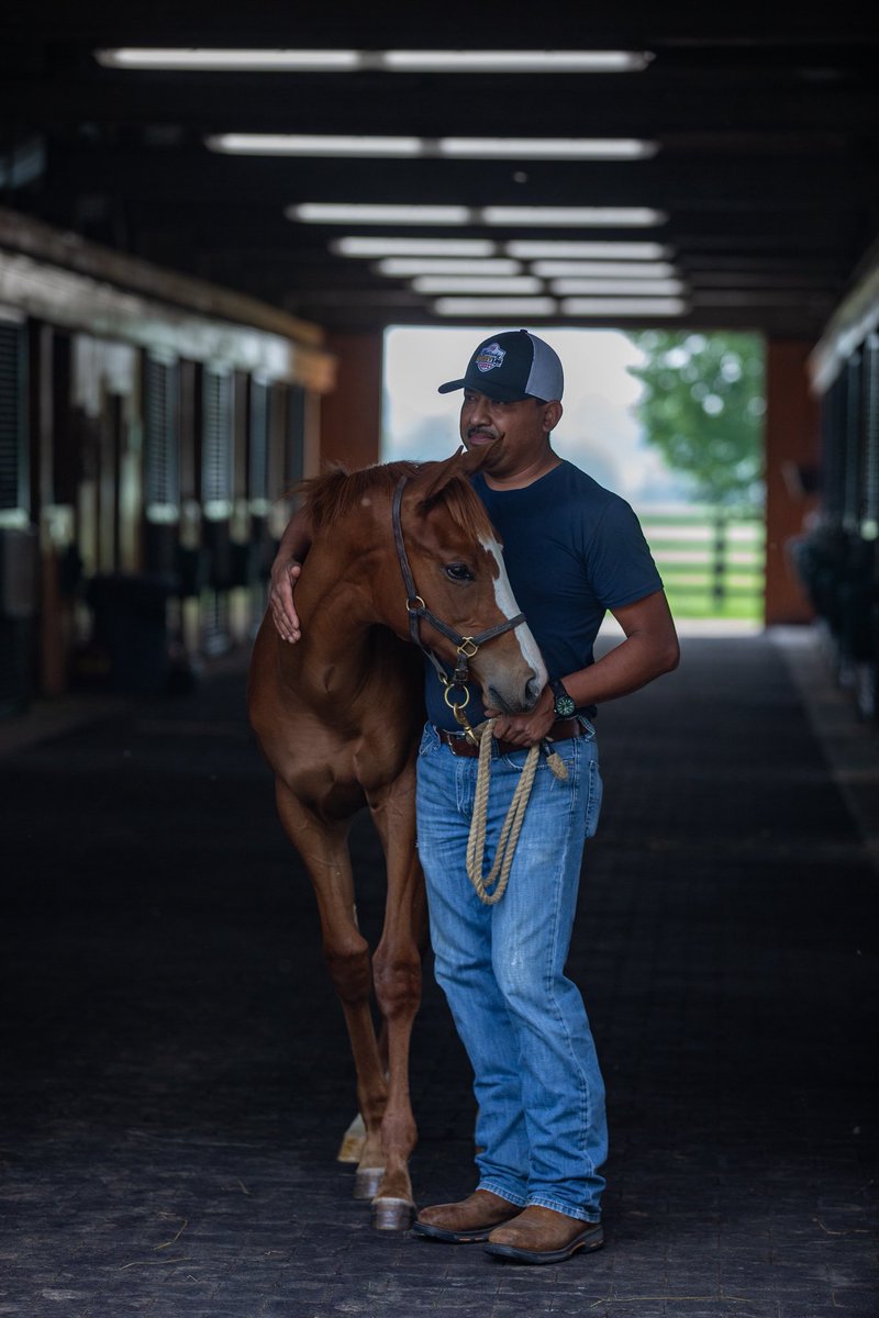 Horse Country tweet media