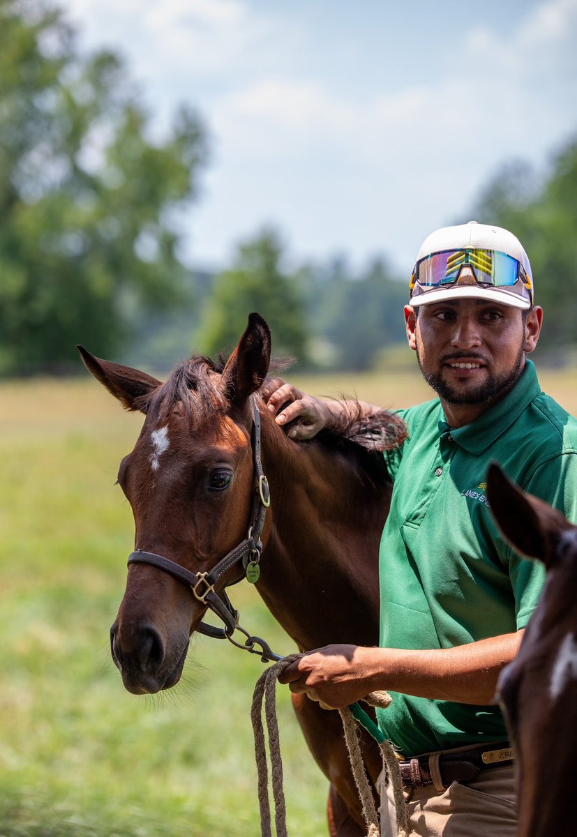 Horse Country tweet media