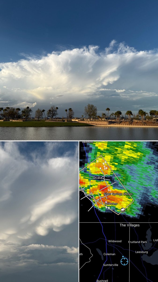 Ashley Baylor tweet media