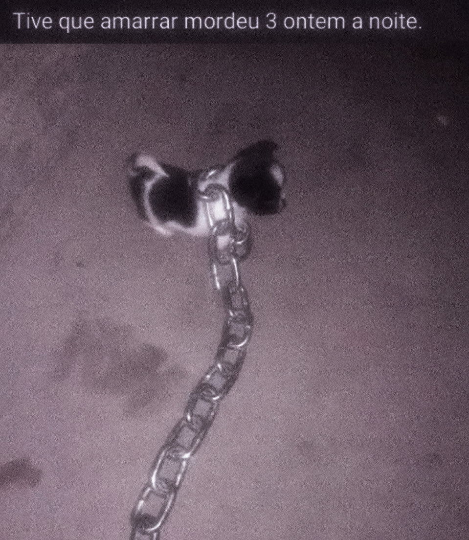 𖥔 𝐛𝐥𝐚𝐜𝐤𝗌𝗐𝖺𝗇 𖥔 tweet media