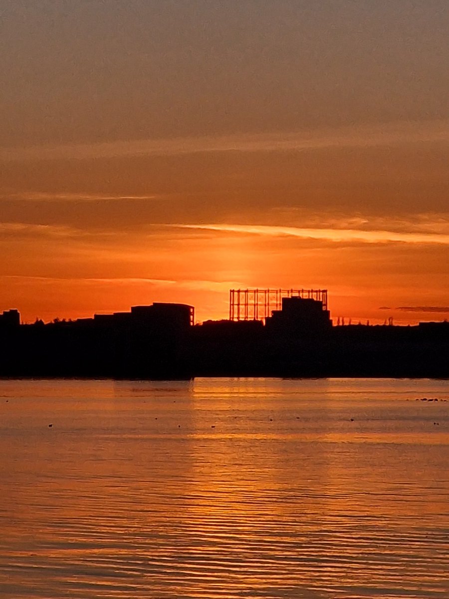 Sean Inglis tweet media