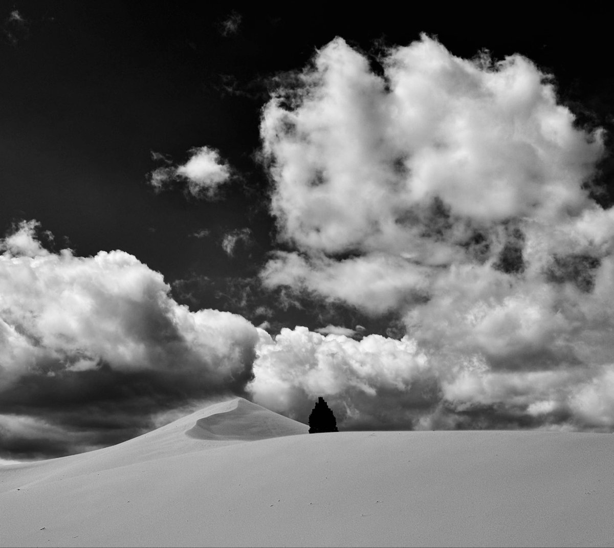 D Miller tweet media