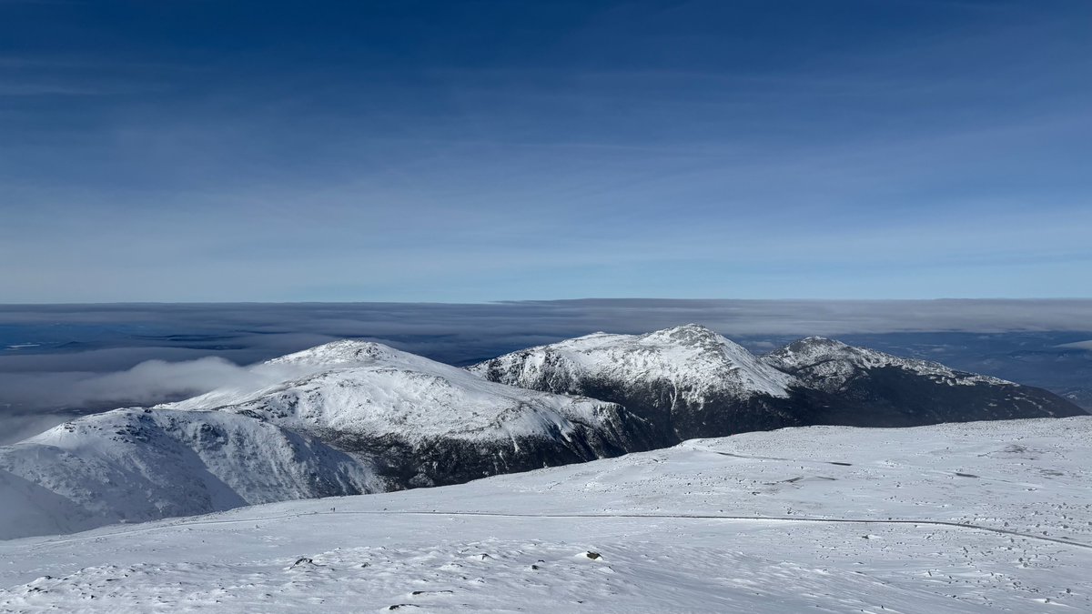 Alexander Falk tweet media