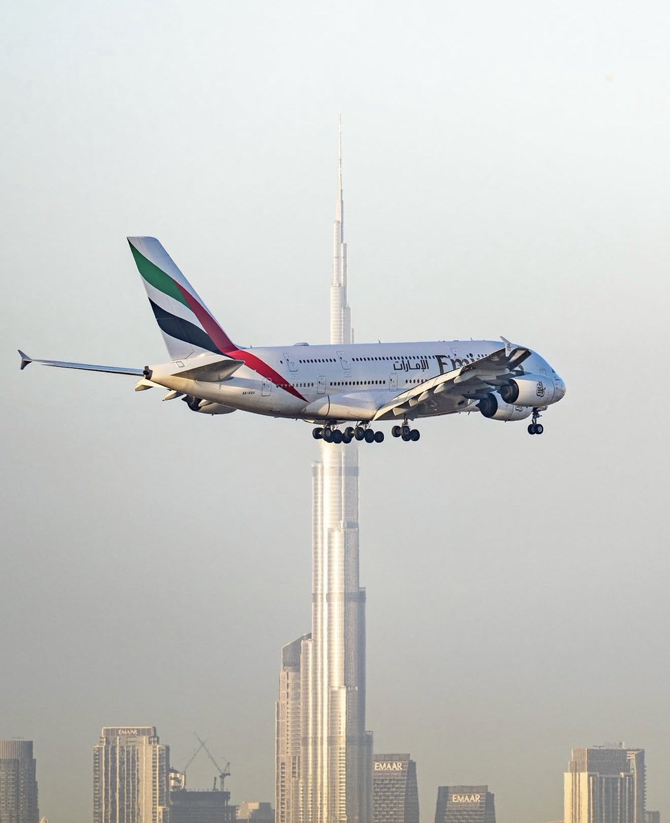 Nasser Mohammed tweet media