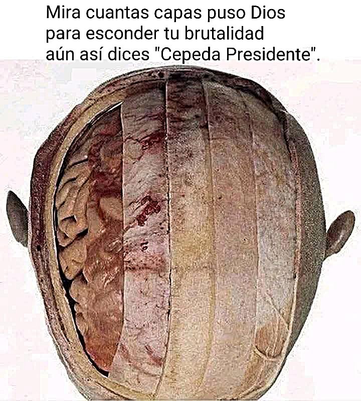 VickA. F. tweet media