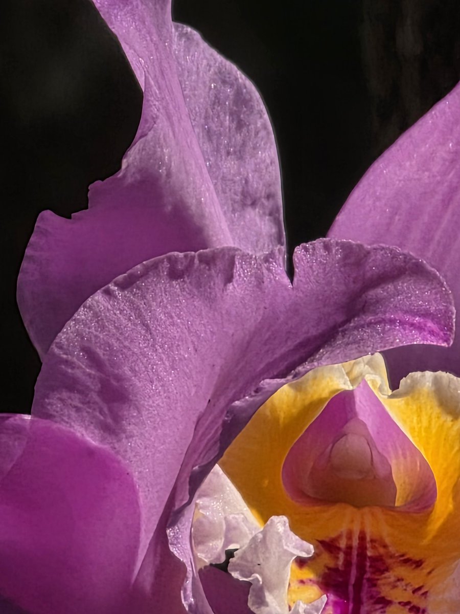 Abril ⋆🌷*ੈ🪐⋆🫧 tweet media