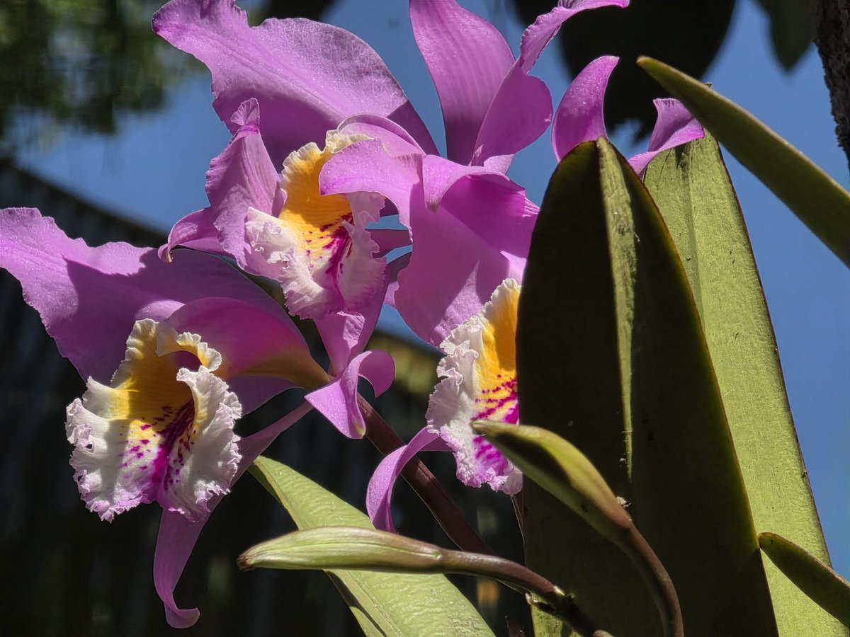 Abril ⋆🌷*ੈ🪐⋆🫧 tweet media