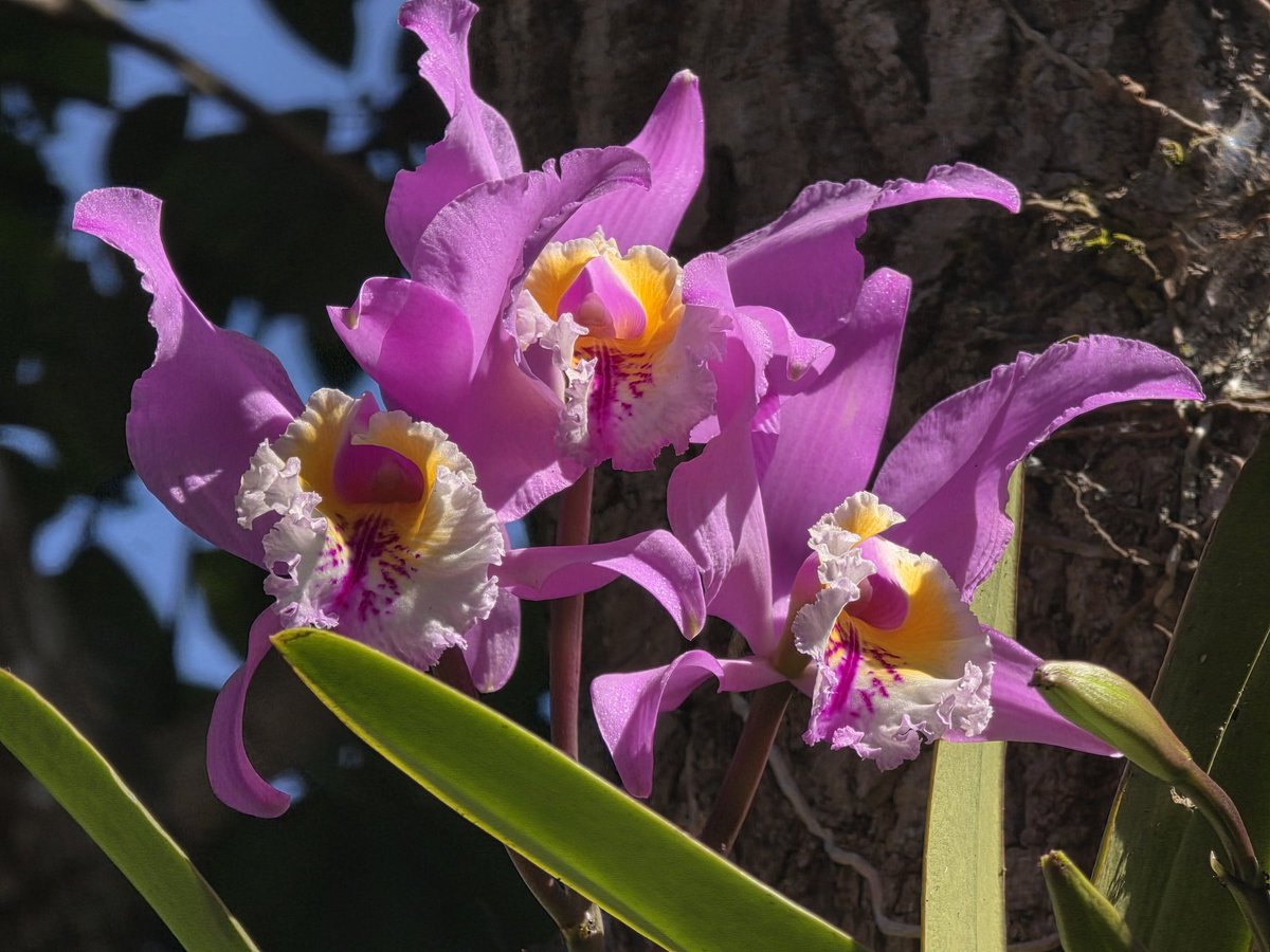 Abril ⋆🌷*ੈ🪐⋆🫧 tweet media