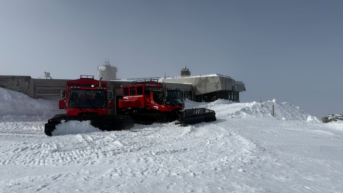 Alexander Falk tweet media